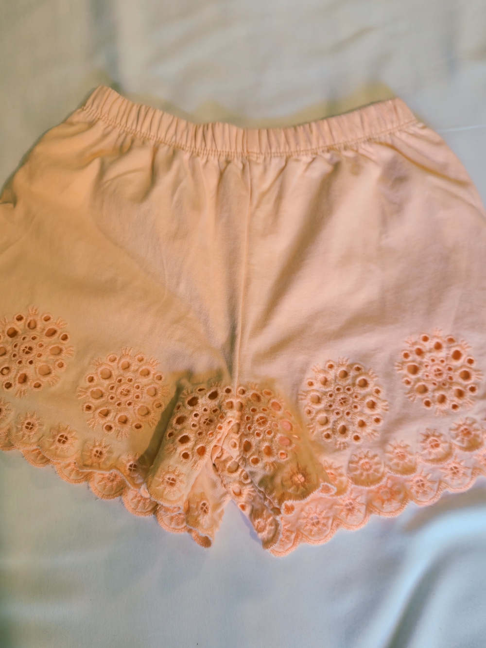 Zara Eyelet Lace Shorts in Pink Size 9